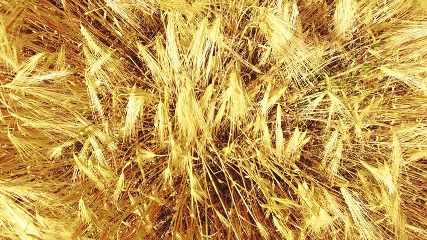 Humidity Stock Images Royalty Free Images Vectors Humidity Stock Images Royalty Free Images Vectors