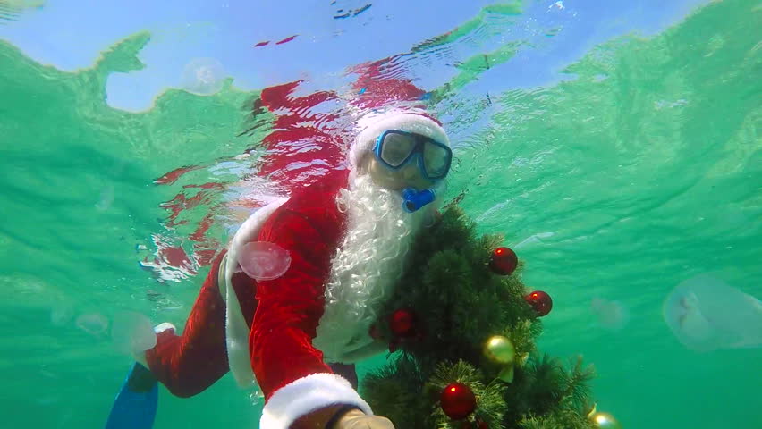 Christmas Celebration Underwater Scuba Santa Installs Christmas Tree On