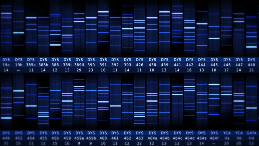 Genentech stock options