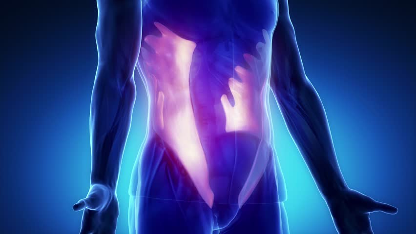 Header of abdominal