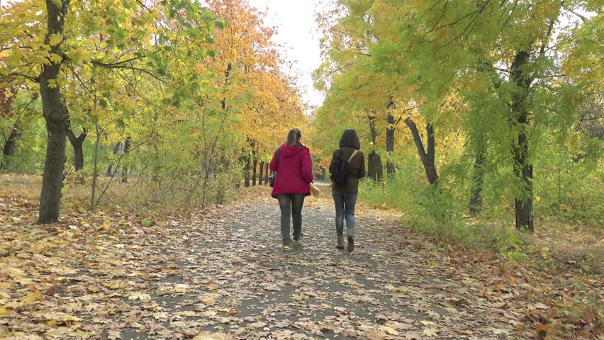 Group Of Four College Students Walking In Park Stock Footage Video ...