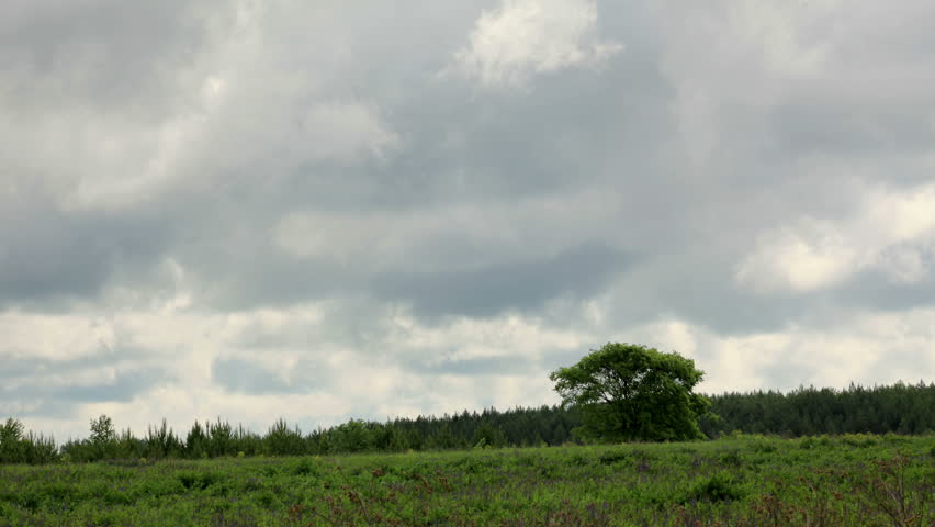 烫头发视频素材-站酷海洛创意正版图片,视频,音