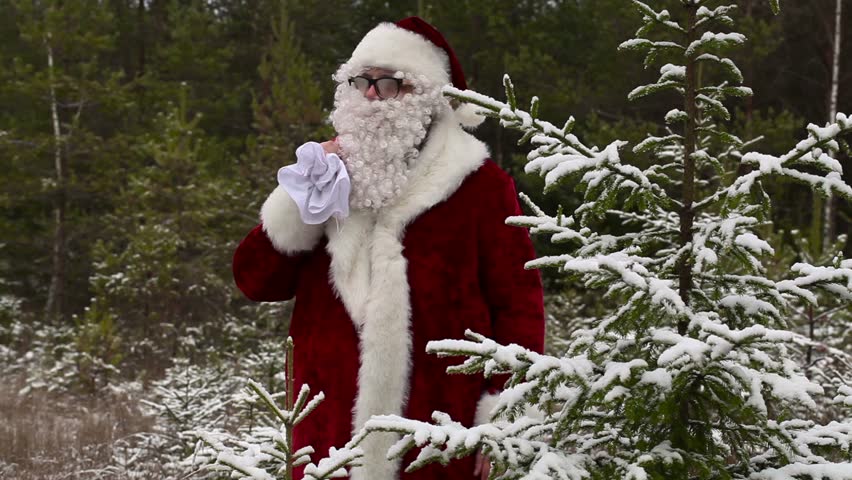 Santa Claus Is Watching The Forest Stock Footage Video 12988373