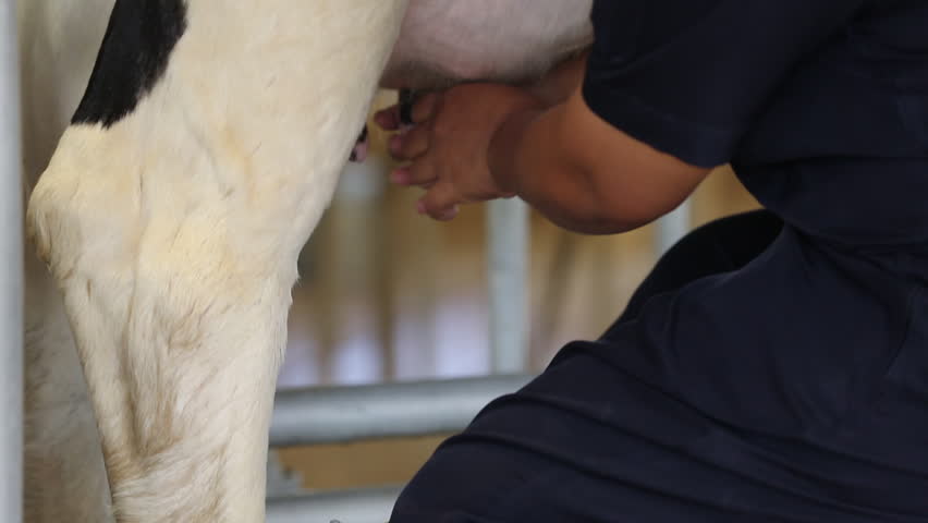very hot bottom sucking ten cocks