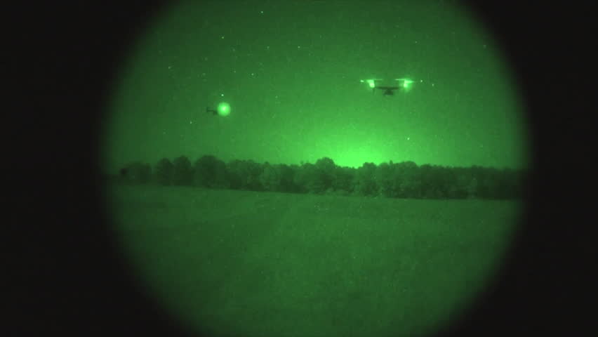 Unbelievable What Happens To A Flys Vision At Night - rmlmy2i