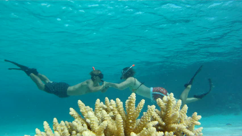 swimming in red sea