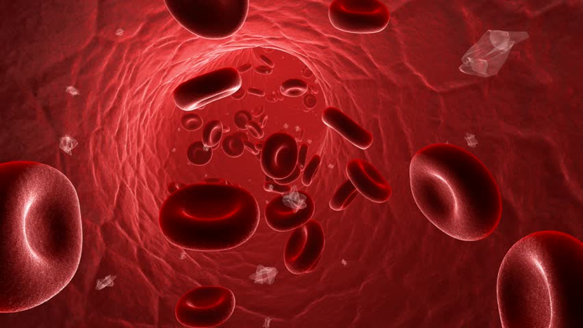 3d Animation Of Red Blood Cells Flowing In The Vein. Alpha Channel