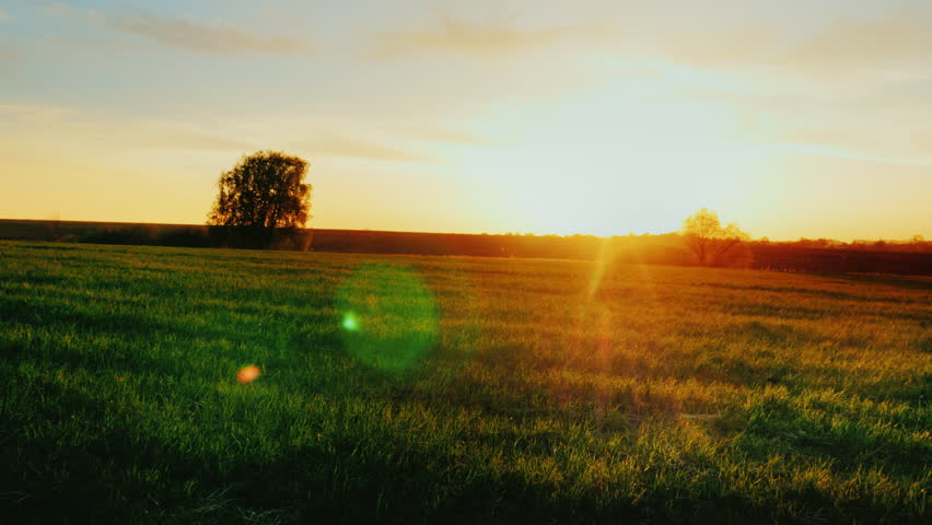 Header of embodiment