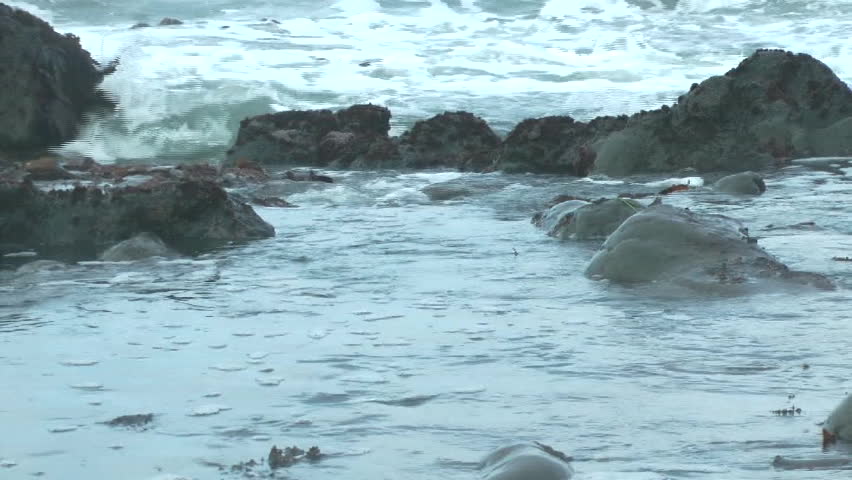 tide pools on the oregon coast stock footage video 3619322 tide pools on the oregon coast stock footage video 3619322