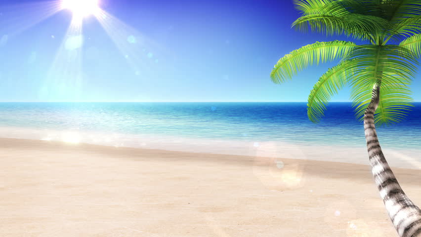 Sea And Sun. Tropical Beach With Palm Tree. Looped Animation. HD 1080