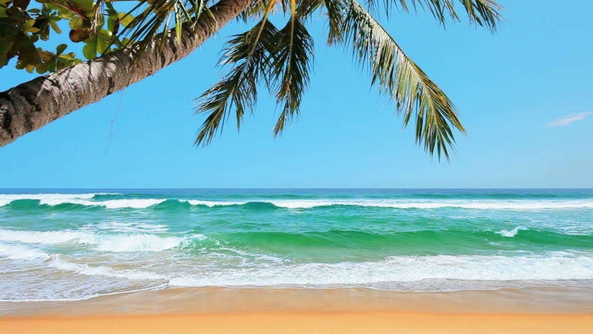 Tropical Beach In Sunny Day Stock Footage Video 3683705 ...