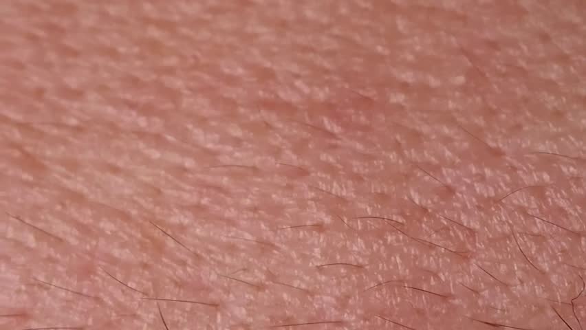 human skin closeup macro dolly stock footage 10828757 skin texture footage page 2 stock human skin closeup macro dolly stock footage 10828757 skin texture footage page 2 stock