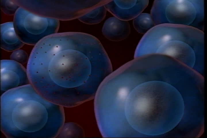 Header of adenovirus