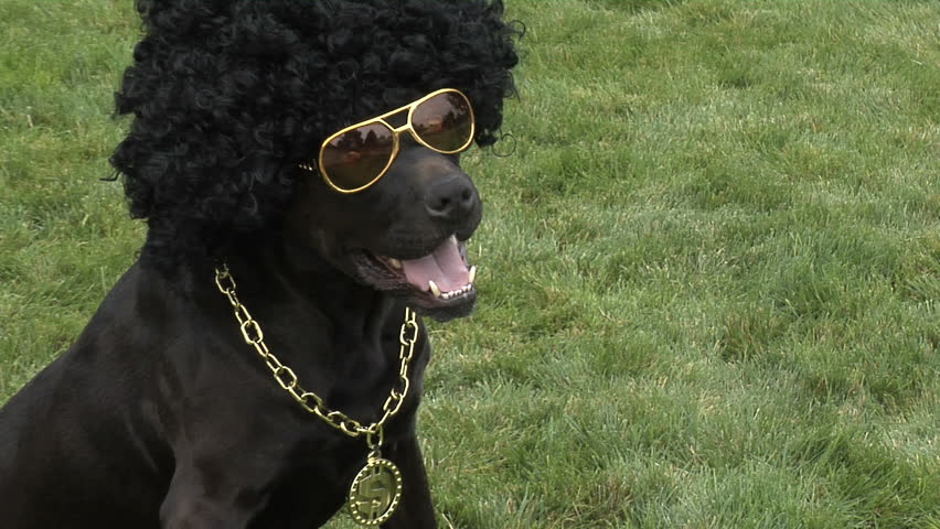 Header of Afro