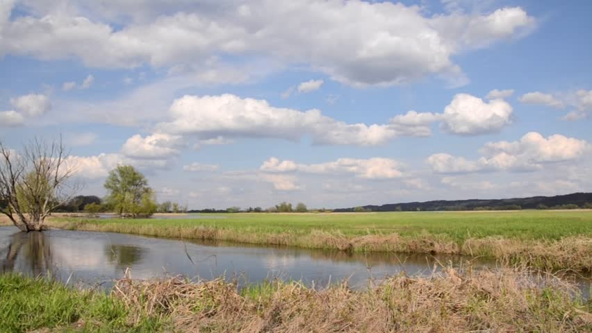 Backwater Of Oder River, Lower Oder Valley National Park, Germany Stock