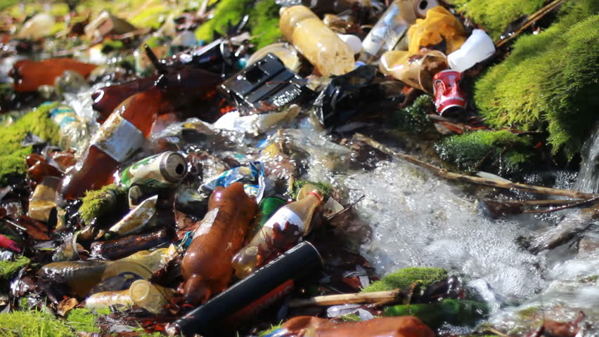 Essay On Unhygienic Junk Food