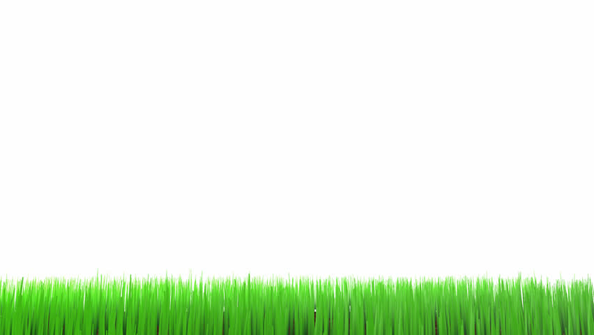 Growing Grass Animation Stock Footage Video 5146496 - Shutterstock