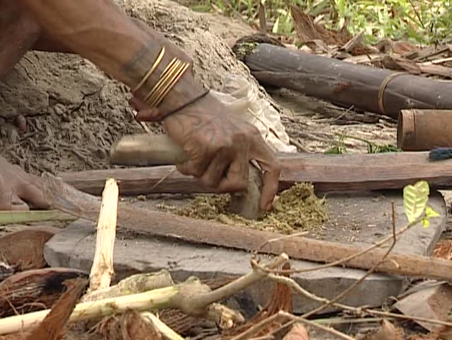 mentawai-making-curare-poison-stock-footage-video-5673029-shutterstock