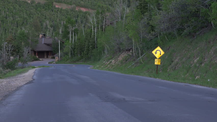 Deer driving jeep music video