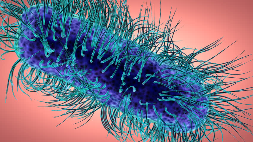 high-definition-microbiology-intro-bacteria-cells-science-3d-animation