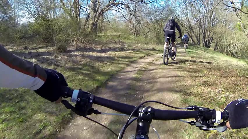 Family Bike Riding On Forest Trail POV 4913756 Shutterstock
