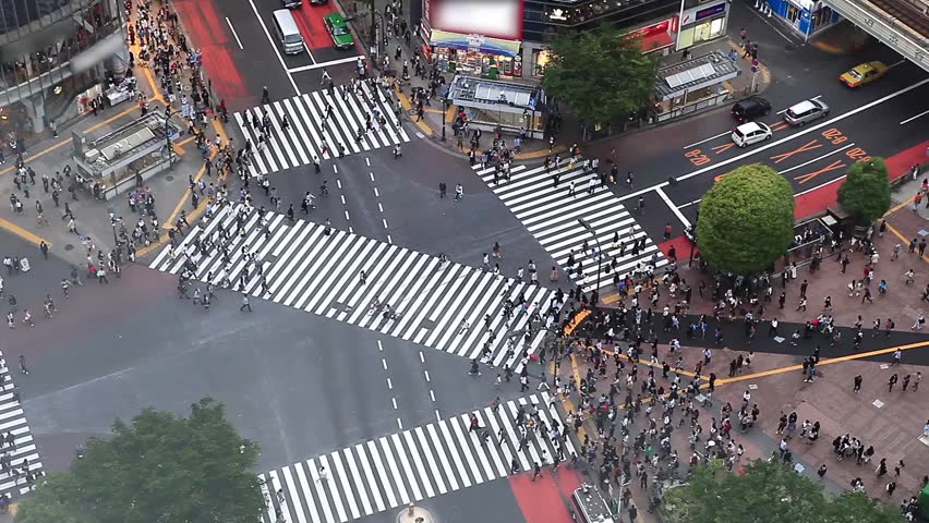 Fast Motion Of Shibuya Pedestrian Crossing And Car Traffic By Day ...