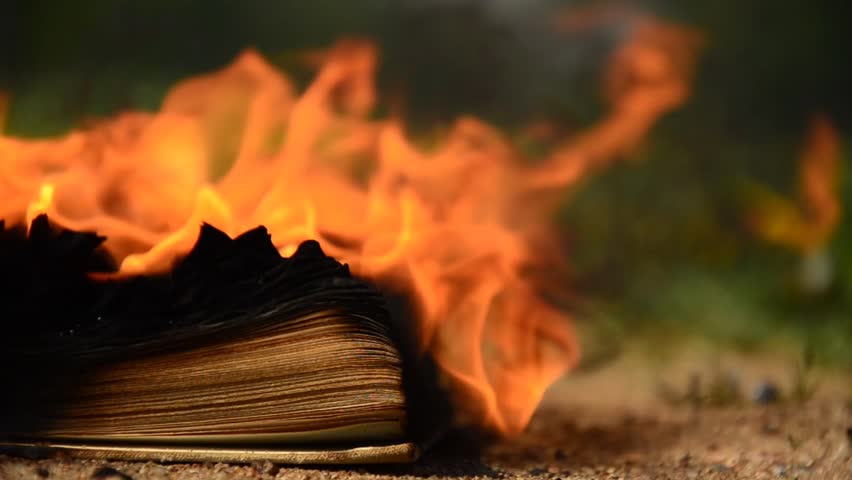 Book On Fire Stock Footage Video - Shutterstock