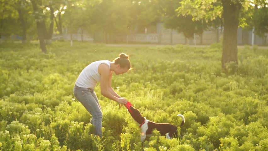 Beautiful Girl Playing With The Dog In The Garden, Throwing A Frisbee ...