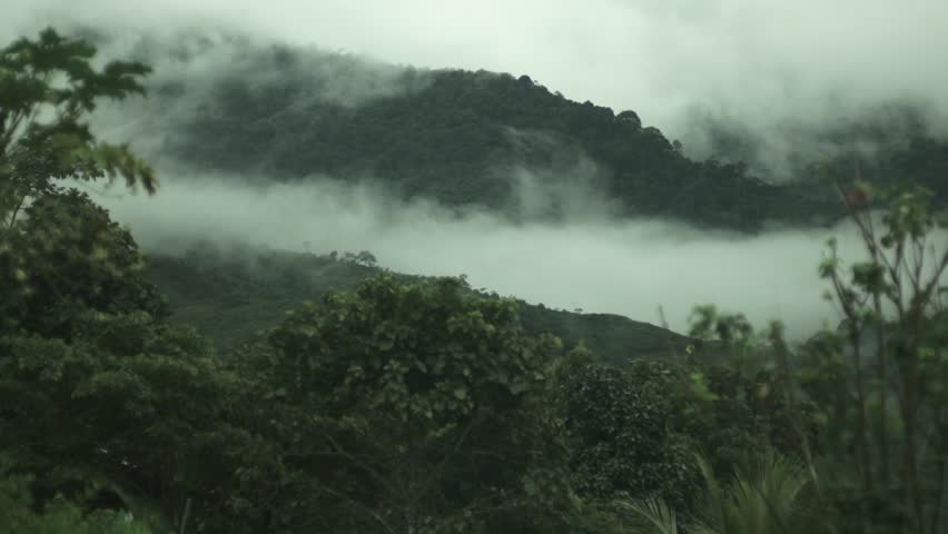 Aerial Shot Of A Tropical Rainforest. Stock Footage Video 5432408 ...