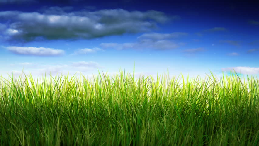 Green Grass Over Blue Time Lapsed Sky. Loopable. Long Grass Waving In ...