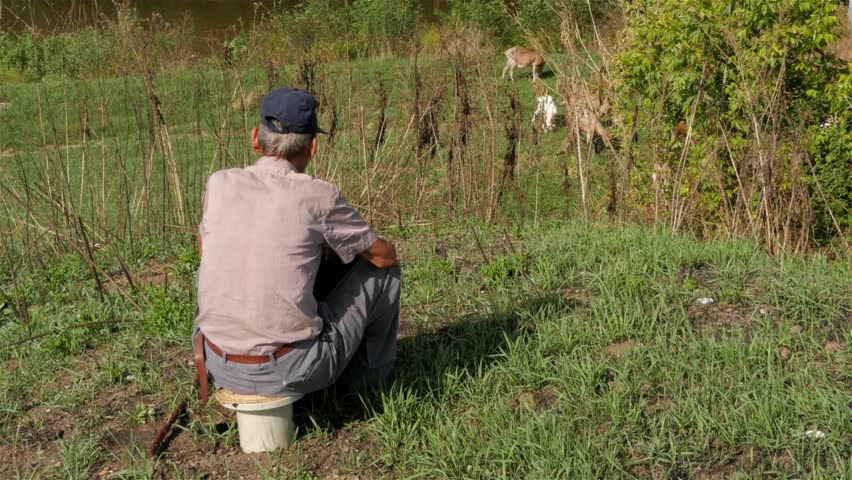 Image result for old man countryside