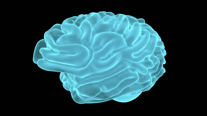 Blue 3d Brain Turning Animation Stock Footage Video 381034 - Shutterstock