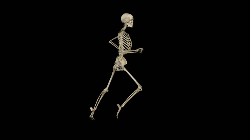 Dancing Skeleton Animation Stock Footage Video 3855116 - Shutterstock