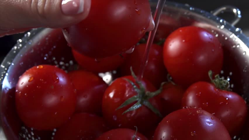 Wash Tomato Stock Footage Video 3900848 - Shutterstock