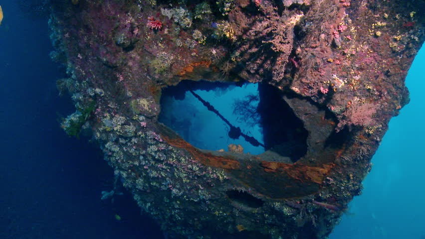 Diving Into The Wreck Thesis - Thesis statement for diving into the wreck