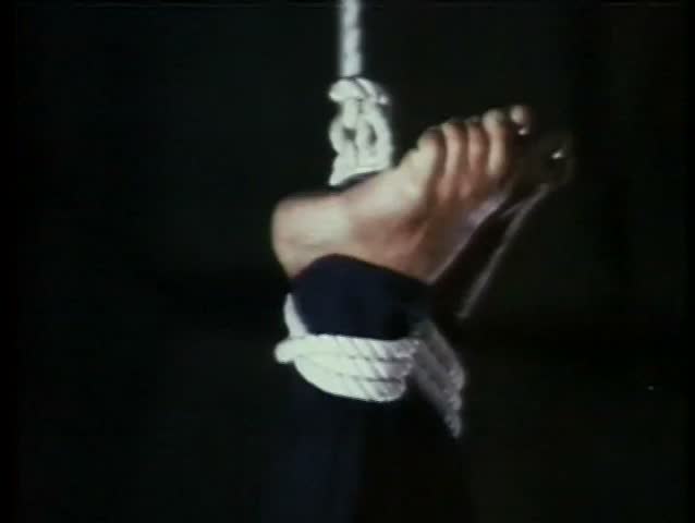 Japanese Beauty Suspension Inverted And Whipping