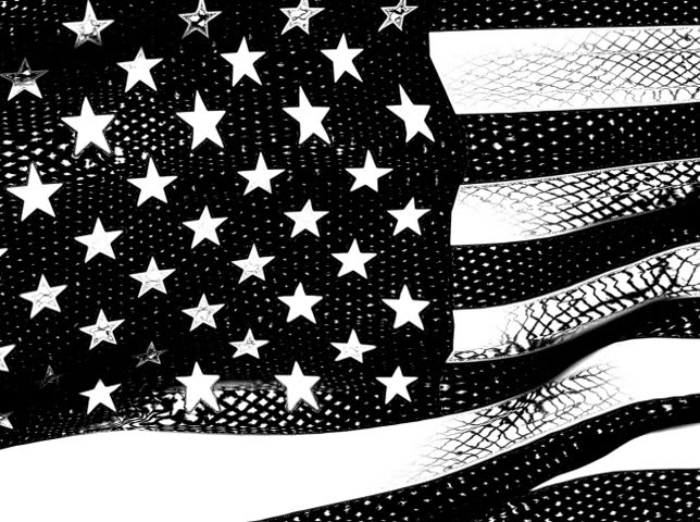 NTSC - American Flag 0212 - A Graphic Black And White American Flag ...