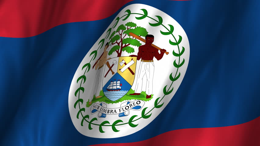 Belizean Flag In The Wind. Part Of A Series. Stock Footage Video 813199 ...