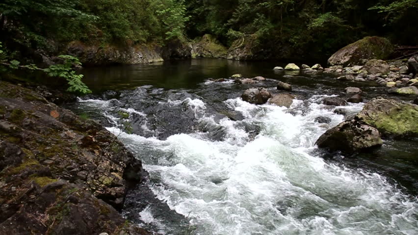 Water Pouring Down Close Up Rapid River Nature Background HD Stock ...