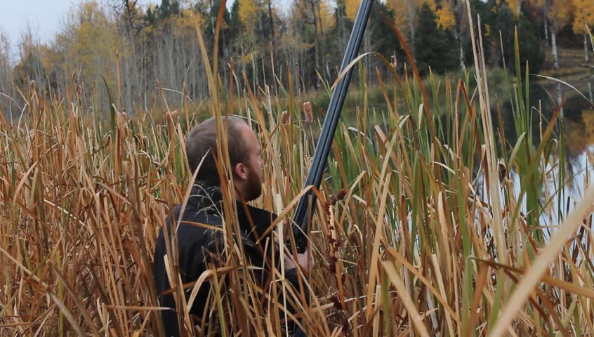 Hunter With A Shotgun In The Woods Stock Footage Video 3213952 ...