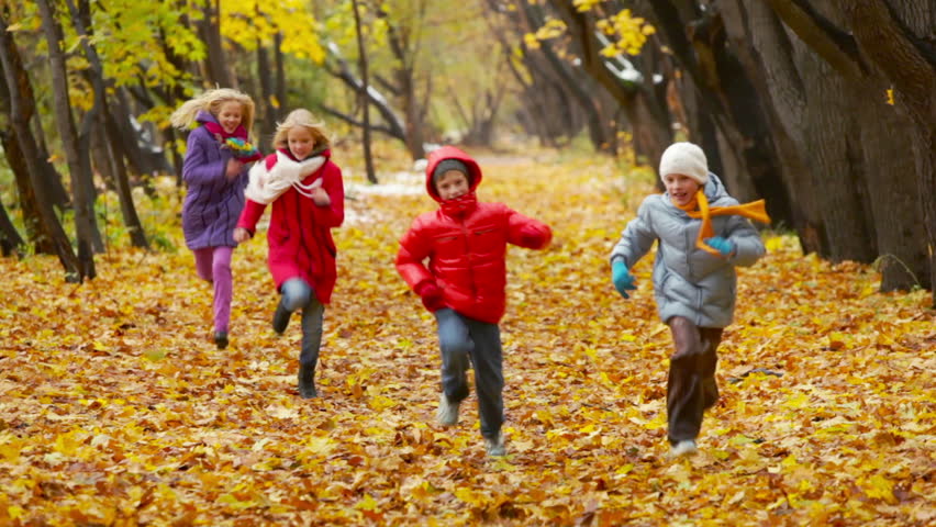 Little Siblings Spending An Autumn Day In The Park Stock Footage Video ...