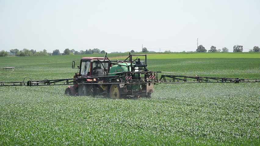 Large Field Of Young Corn Seasonal Fertilizer Spray Works Stock Footage ...