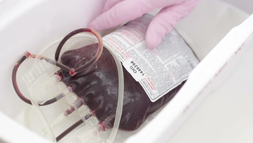 Blood Stock Footage Video - Shutterstock