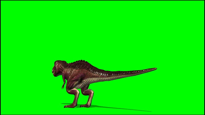 T-Rex Dinosaur Walk By Animation Green Screen Video Footage Stock ...