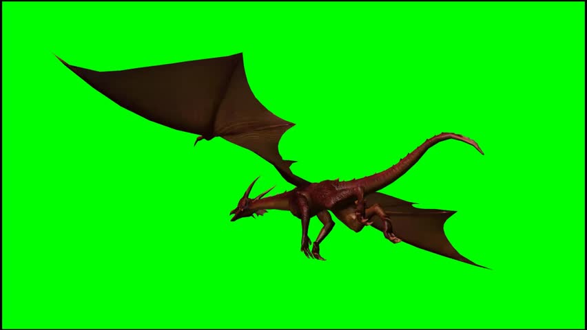 Dragon Flight Stock Footage Video 562615 - Shutterstock