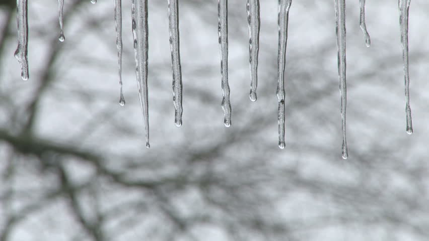 Close Up Icicles Slowly Melting In Winter Scene. Stock Footage Video ...