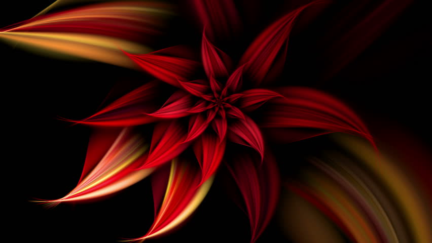 Red Fiery Flower On Black Background, Animated Abstract Illustration ...