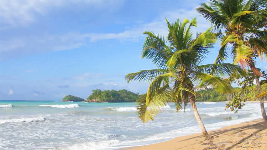 Caribbean Beach Stock Footage Video 8542720 - Shutterstock