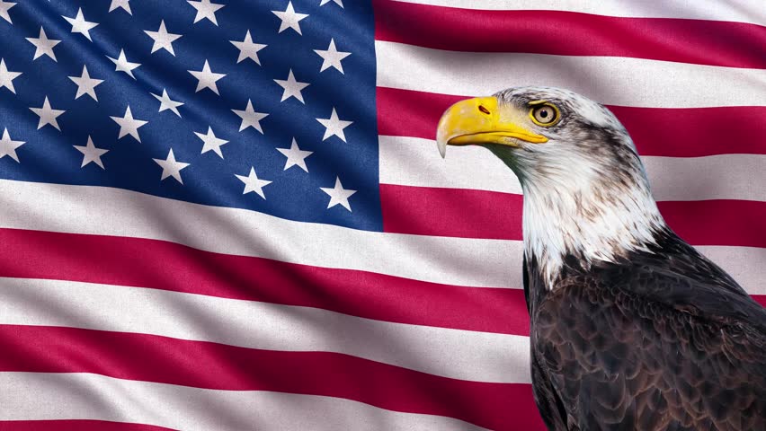 American Eagle With Animated US Flag Green Screen Video Footage - Video ...