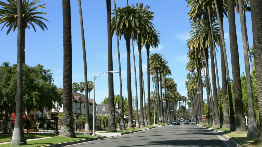 Palm Trees, Car Traffic On Beverly Road In Beverly Hills Near Sunset ...